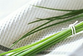 Fresh chives on tea towel