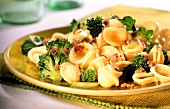 Orecchiette alla pugliese (orecchiette with broccoli)