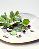 Erbsenranken und violette Erbsenblüten auf einem Teller