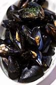 Mussels in herb sauce