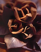 Velvety chocolate roses with chocolate leaves