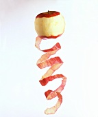 Peeled apple with spiral-shaped apple peel