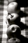 Apples in a row on checked cloth