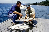 Salmon fisherman in Tasmania