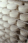 Australian cream cheese on metal shelves