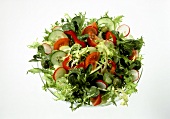 Mixed salad with tomatoes, cucumber and radishes