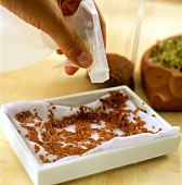 Growing your own cress: sprinkling the seeds with water