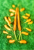 Carrots on artificial grass