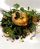 Herb salad with blueberries and fried goat's cheese