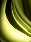 Bananen (Detail)