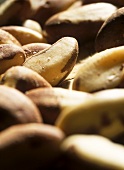 Brazil nuts (close-up)