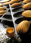 Madeleines in der Backform