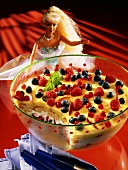 Layered berry & sponge dessert with vanilla yoghurt for kids