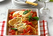 Chicken and tomatoes with cheese cream
