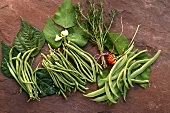 Various types of green beans on bean leaves