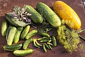 Various pickled and mustard-pickled gherkins
