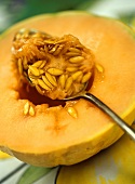 Removing the seeds from a sweet melon with a spoon