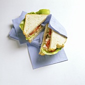 Tuna and tomato sandwich on napkins