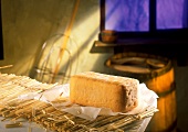 Limburger Käse mit Butterpapier auf Strohmatte
