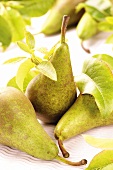 Green pears with leaves