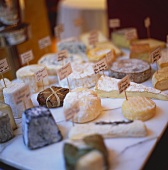 Various types of cheese in cheese shop