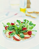 Corn salad with apple, radishes and sunflower seeds