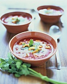 Mexican chili tomato soup with cashew nuts