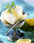 Lemon and champagne sorbet with mint leaves