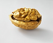 Half a walnut in its shell