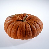 Pumpkin (Roter Zentner)