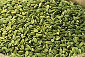 Cardamom