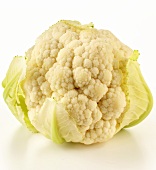Young cauliflower