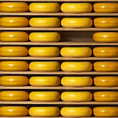 Gouda in cheese rack