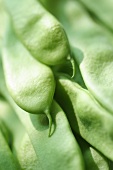 French beans (detail)