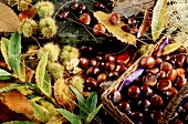 Autumnal still life with chestnuts