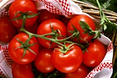 Tomatoes on tea towel in basket