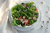 Colourful spring salad with herbs, radishes and flowers