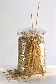 Grains of rye in cellophane bag and ears of rye