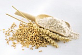 Grains of wheat, ear of wheat and wheat flour