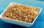 Oat grains in a bowl