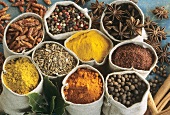 Various spices in sacks