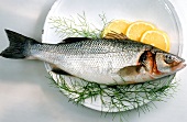 Sea bass with lemon and dill
