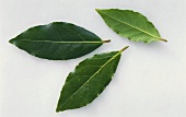 Bay Leaves