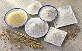 Various types of flour in bowls; cereal ears