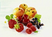 Obststillleben mit Beeren, Kirschen und Aprikosen