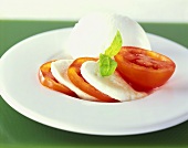 Mozzarella with tomatoes and basil