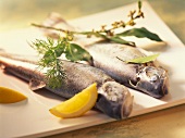 Trout cooked blue with lemon and herbs