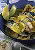Mackerel with fennel and lemons