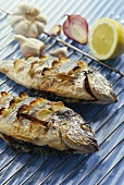 Grilled sea bream with garlic