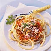 Maccheroni alla bolognese (Macaroni with meat sauce)